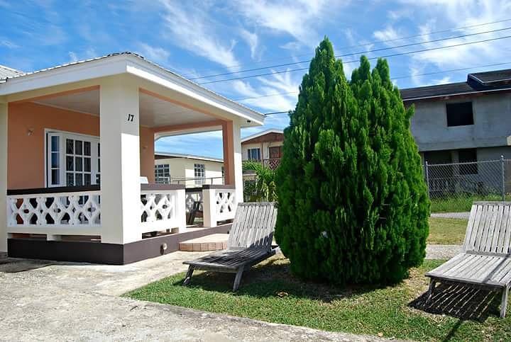 Sue'S Homestay Christ Church Exterior foto